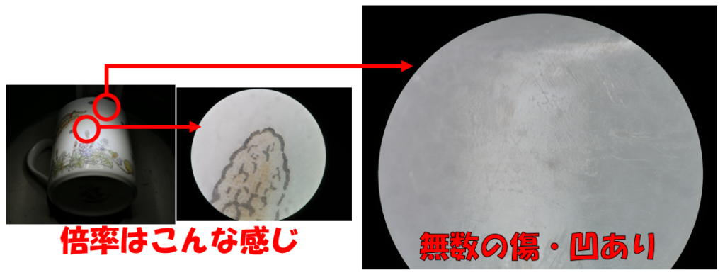 顕微鏡の様子