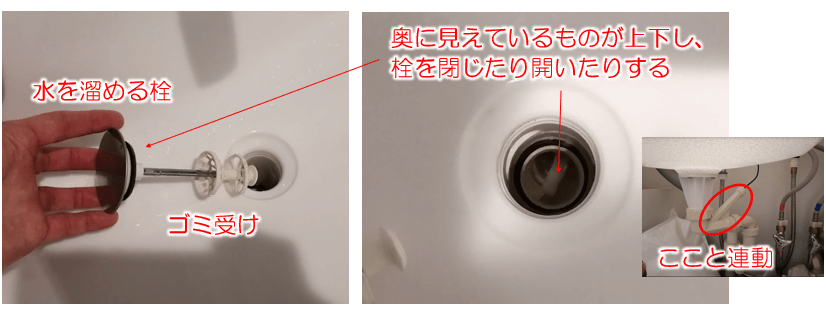 栓の奥