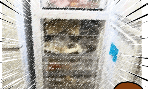 調理おかずを冷凍しまくる！冷凍キャパ不足は室内用冷凍庫を外に置いて対処した