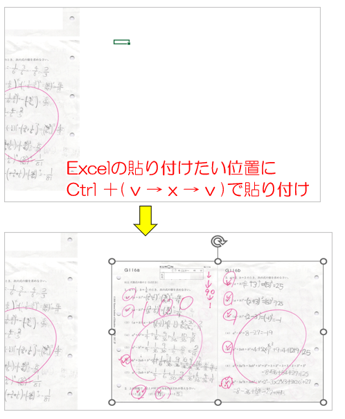 Excelに貼りつけ